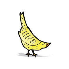 Cartoon Bird N42