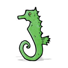 Cartoon Sea Horse N8