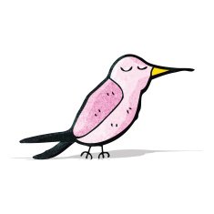 Cartoon Hummingbird N11