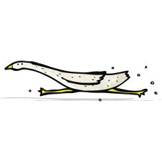 Cartoon Goose N10