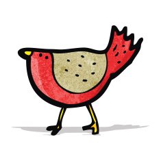cartoon robin N17