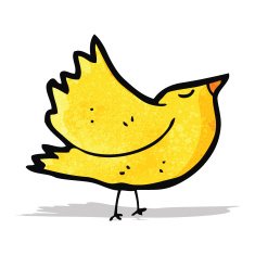 Cartoon Bird N43
