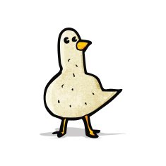 Cartoon Pigeon N7