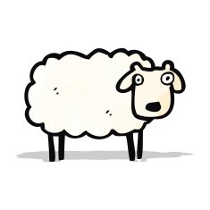 Cartoon Sheep N24