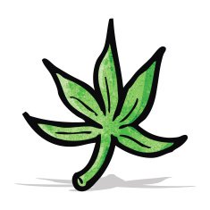 Cartoon Marijuana Leaf N6