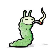 cartoon caterpillar smoking