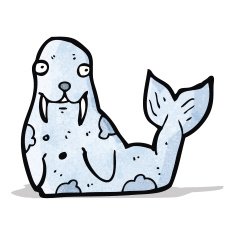 cartoon walrus N2