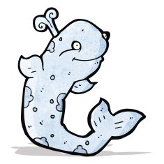 Cartoon Whale N25