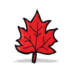 Cartoon Leaf N27