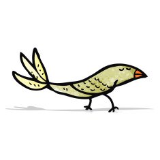 Cartoon Bird N52