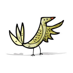 Cartoon Bird N53