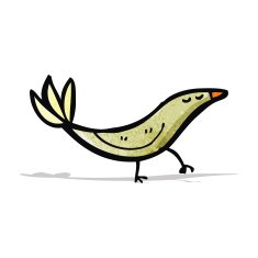 Cartoon Bird N54
