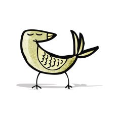 Cartoon Bird N55