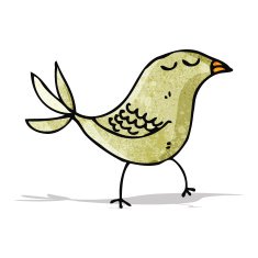 Cartoon Bird N57