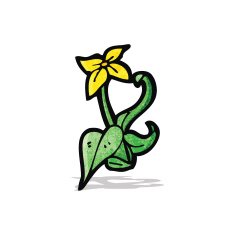 cartoon flower N81