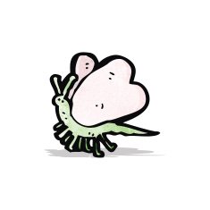 Cartoon Butterfly N31