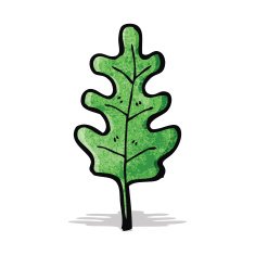Cartoon Leaf N32
