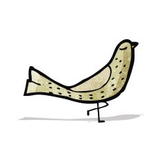 Cartoon Bird N58
