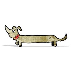 cartoon little dog N29