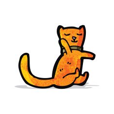 funny cartoon cat N61