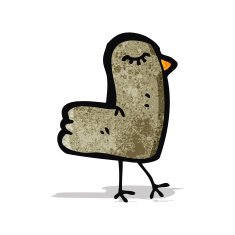 funny cartoon bird N12