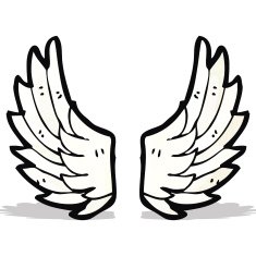 Cartoon Angel Wings N8