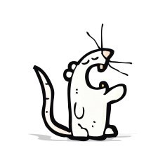 cartoon white mouse N3
