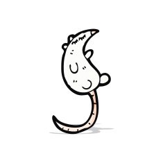 cartoon white mouse N5