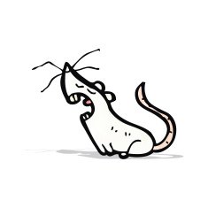 cartoon white mouse N8