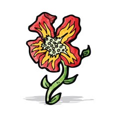 cartoon rare flower N2