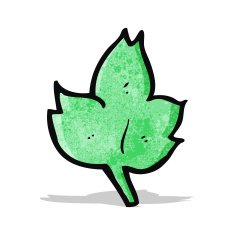 cartoon leaf symbol