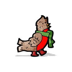 cartoon robin N19