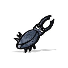 Cartoon Beetle N15