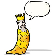 one of the three kings N5