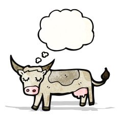 Cartoon Cow N40