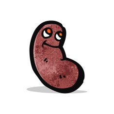 cartoon kidney