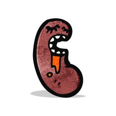 cartoon kidney N2