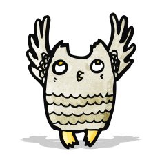Cartoon Little Owl N7