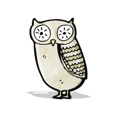 Cartoon Little Owl N9