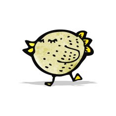 funny cartoon bird N14