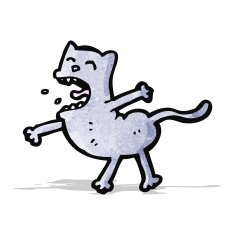 funny cartoon cat N70