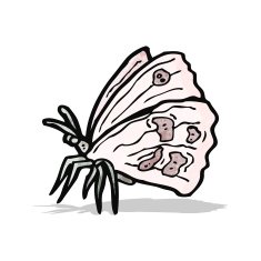 cartoon buttefly