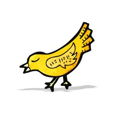 Cartoon Bird N61
