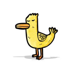caroton duck