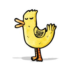 caroton duck N2