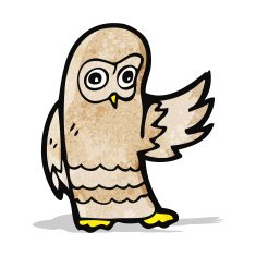 Cartoon Owl N60