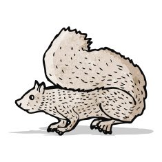 Cartoon Squirrel N23