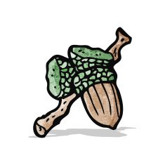 cartoon acorn N8
