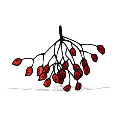 winter berries illustration