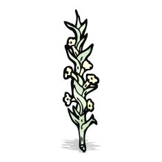wildflowers illustration N2